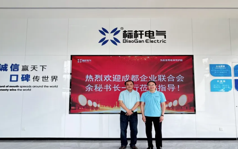 深化交流合作 助推企业创新与国际化发展