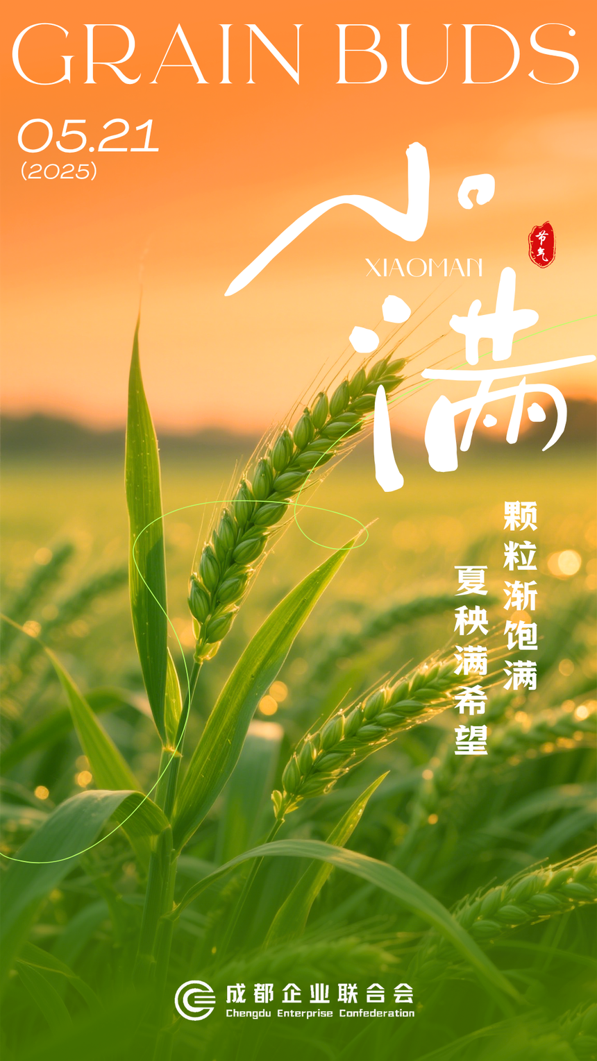 夏秧满希望 颗粒渐饱满