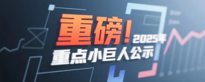 2025年重点小巨人名单重磅公示！
