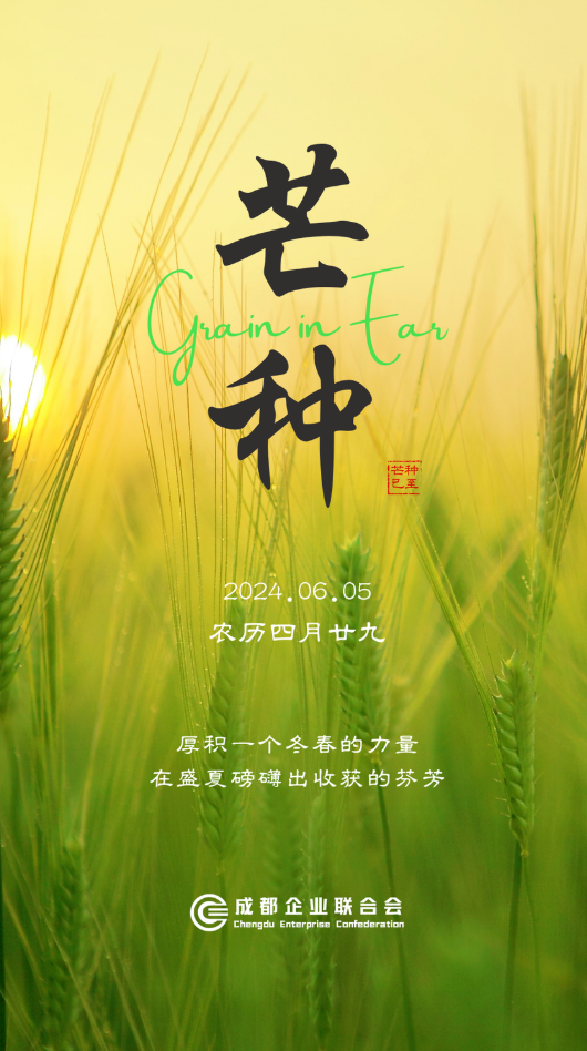 芒种——风吹麦成浪，蝉鸣夏始忙