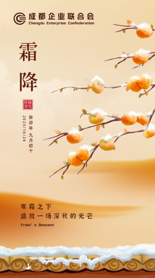 寒霜之下，盛放一场深秋的光芒