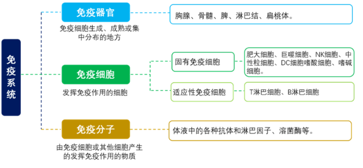 “你的免疫力能抵挡住新冠病毒吗？”